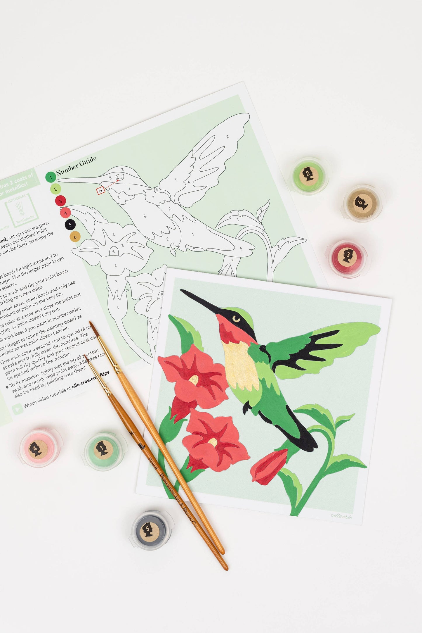 Hummingbird Small Paint-by-Number Kit