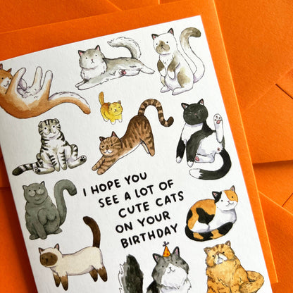 Lots Of Cute Cats Birthday Card