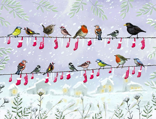 Bird Stockings Mini Embossed Boxed Holiday Cards