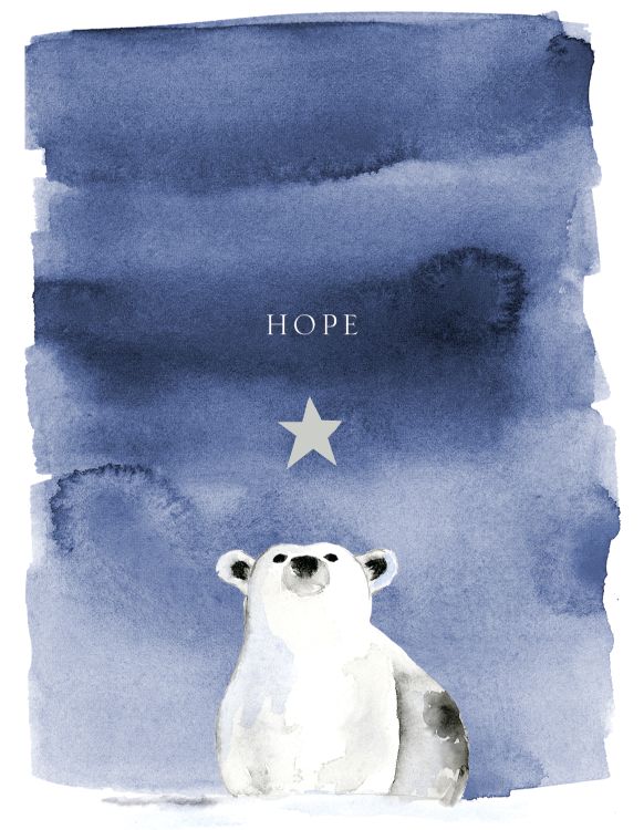 Hope Polar Bear Mini Boxed Holiday Cards