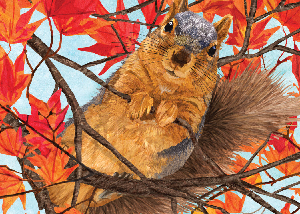 Squirrel Surprise Thanksgiving Card