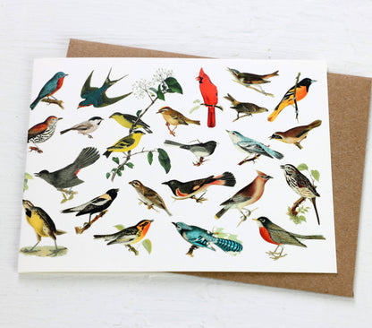 History of North American Songbirds Blank Card