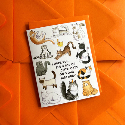 Lots Of Cute Cats Birthday Card