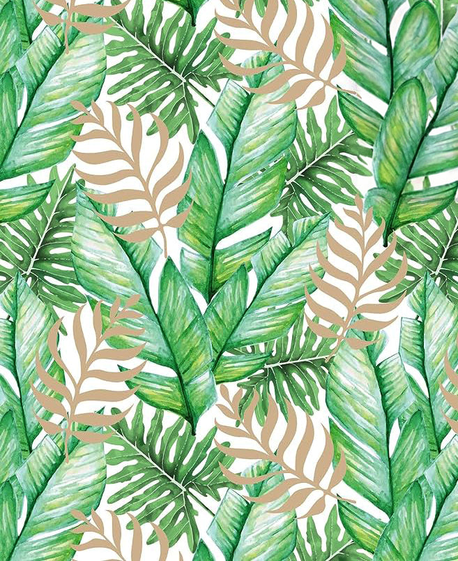 Tropical Plants Gift Wrap, 2 Rolls – Allport Editions