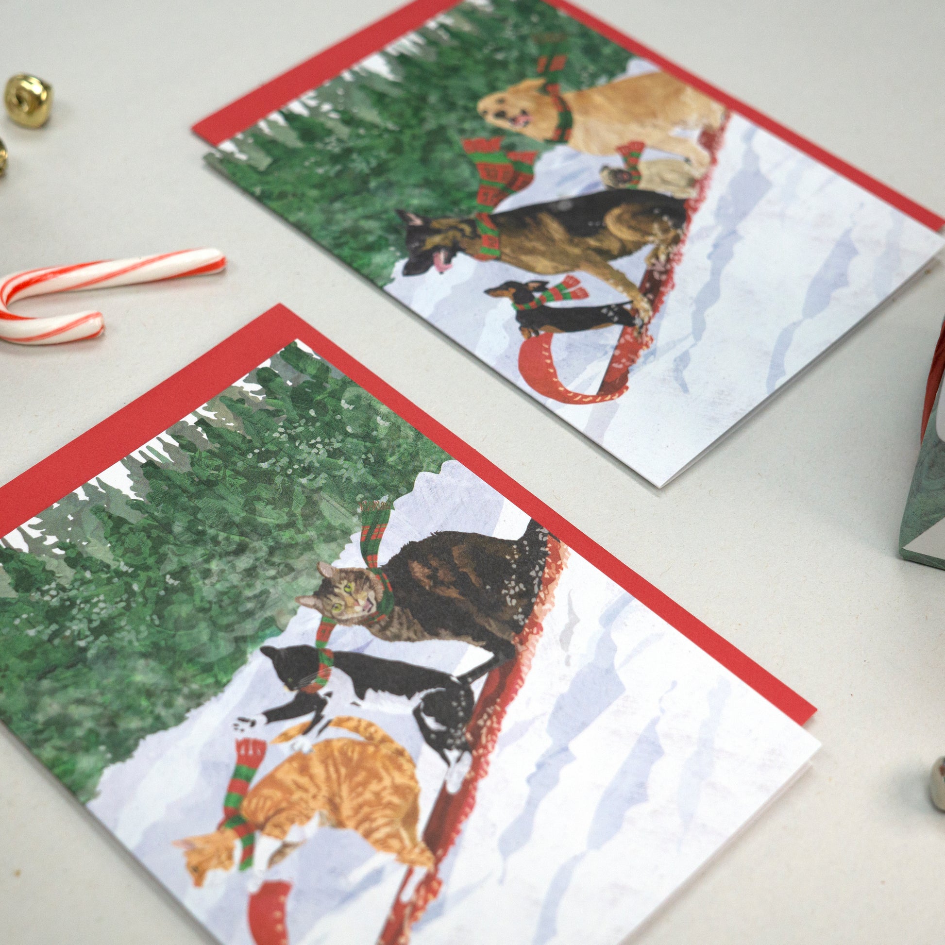 Cats Toboggan Holiday Card – Allport Editions