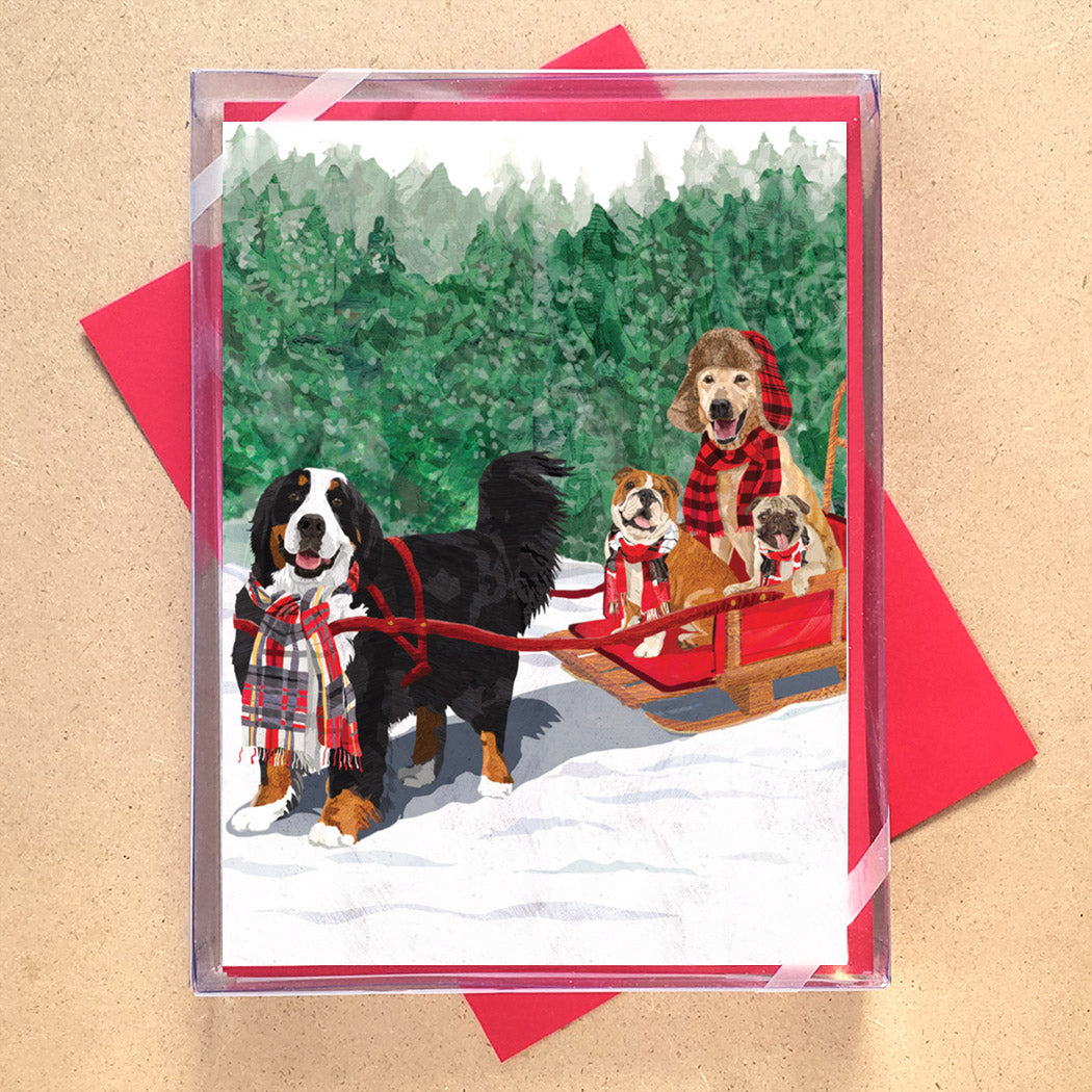 Dogs Sleigh Holiday Card