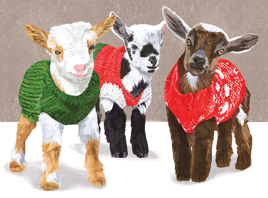 Goats In Sweaters Boxed Holiday Cards