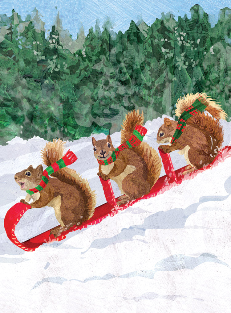 Squirrel Toboggan Boxed Holiday Cards