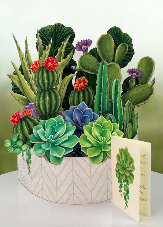 Cactus Garden Pop-Up Planter