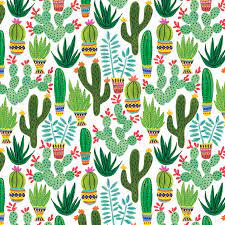 Sedona Cactus Gift Wrap and Raffia Ribbon BUNDLE