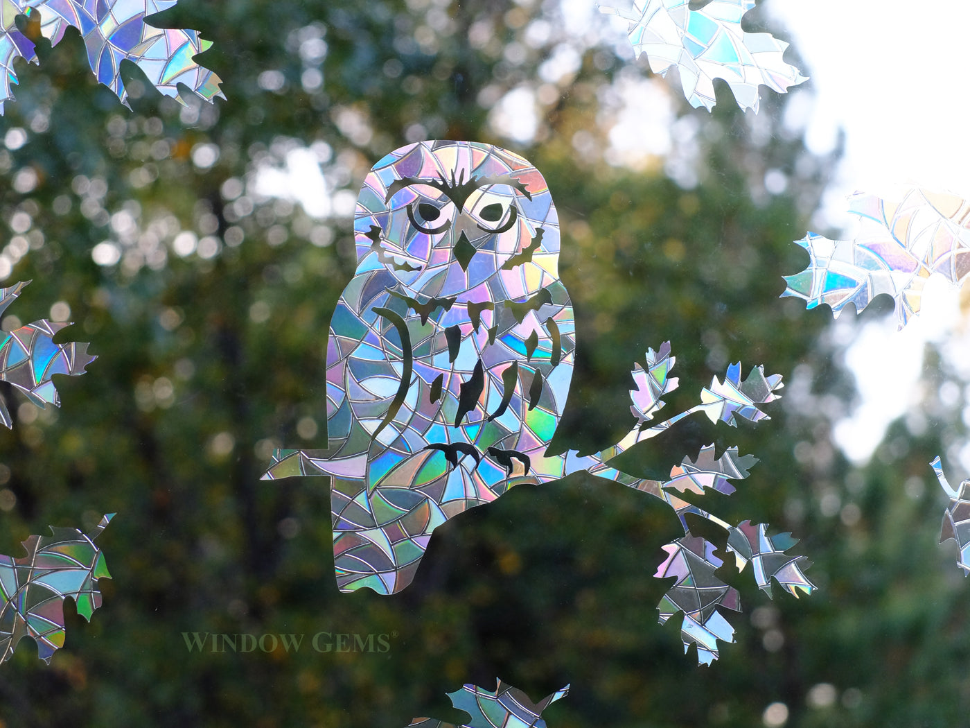 Owl Bird Safety Window Decals