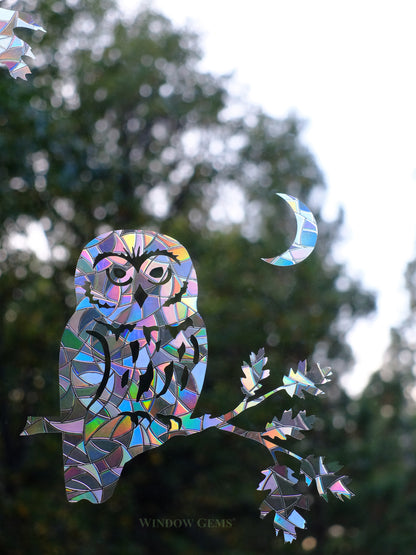 Owl Bird Safety Window Decals