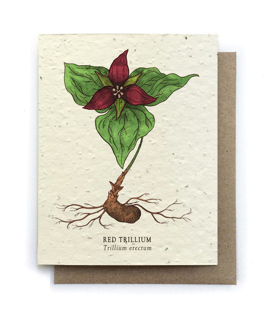 Southern Red Trillium Plantable Wildflower Seed Card