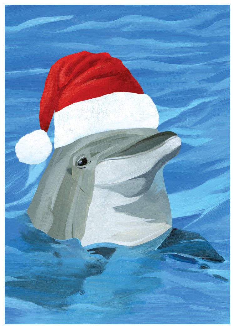 Festive Dolphin Holiday Card – Allport Editions