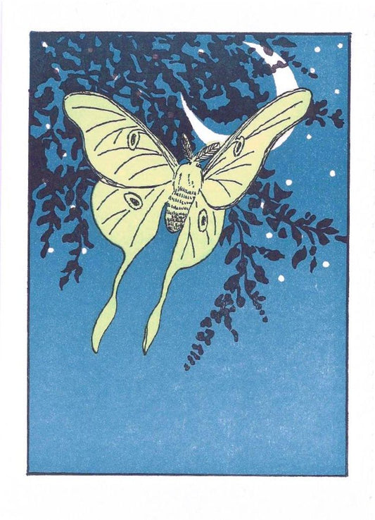 Luna Moth Blank Card