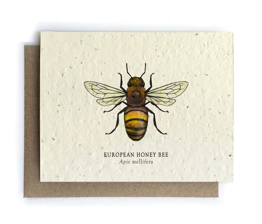 Honey Bee Plantable Wildflower Seed Card