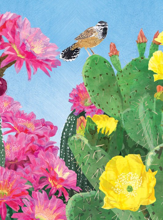 Cactus Wren Card