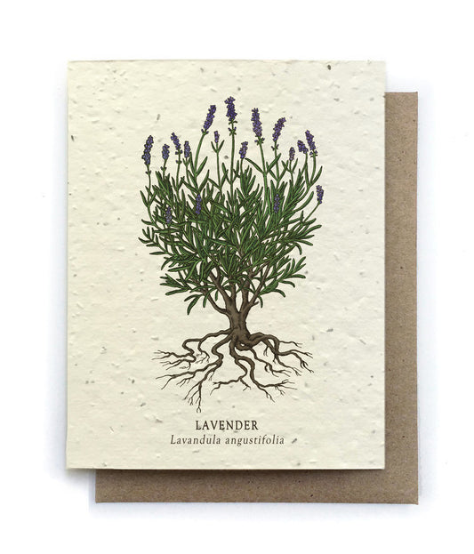 Lavender Plantable Wildflower Seed Card