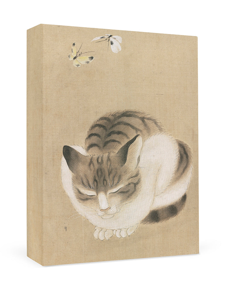 Sleeping Cat Boxed Note Cards