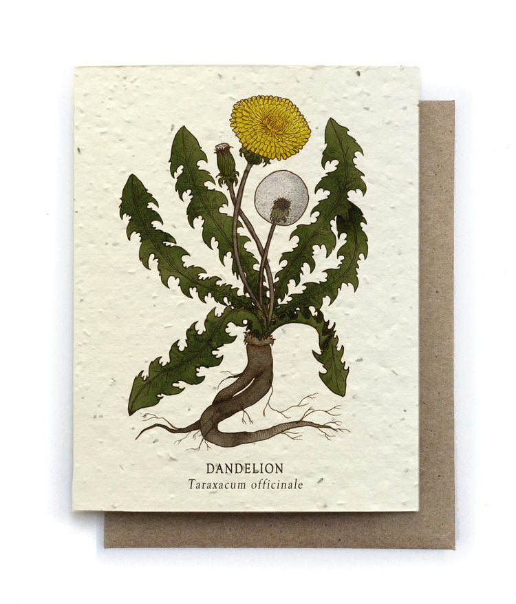 Dandelion Plantable Wildflower Seed Card