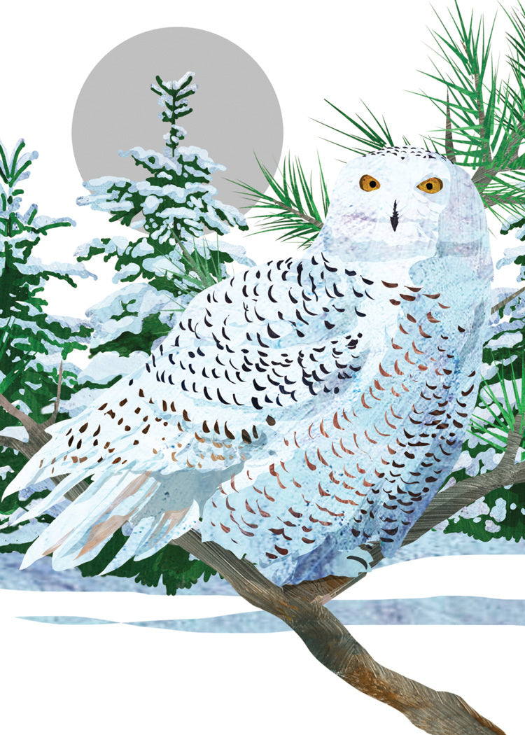 Snowy White Owl Holiday Card