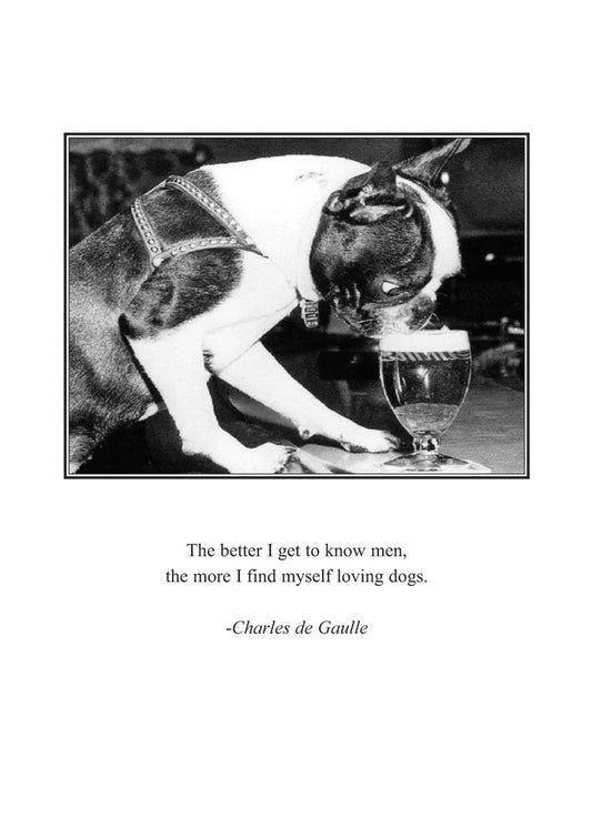 Dog Drinking Beer Humor Card