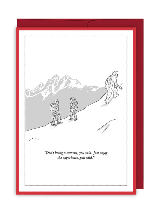 Don't Bring a Camera New Yorker Holiday Cards