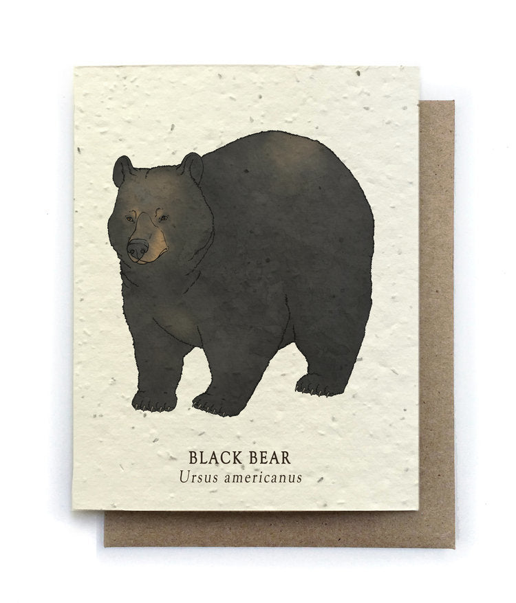 Black Bear Plantable Herb Seed Card