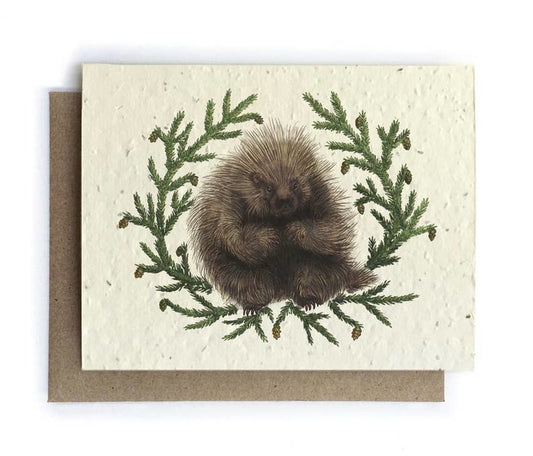 Porcupine & Hemlock Plantable Herb Seed Card