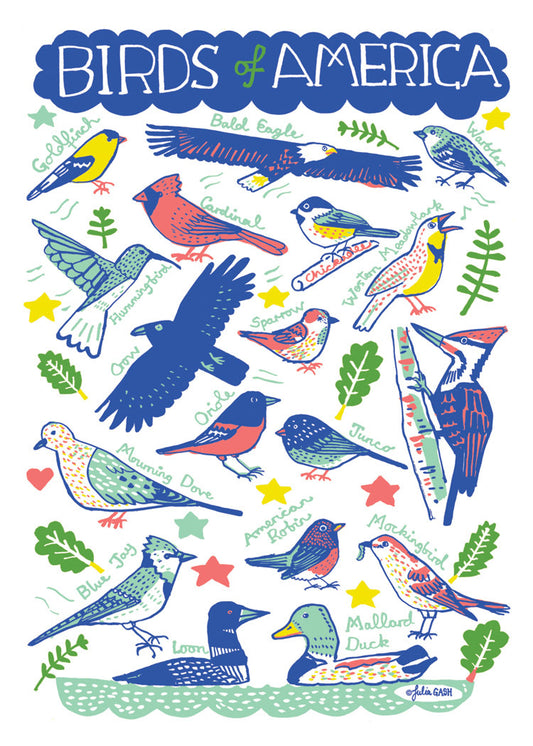 Birds of America Card