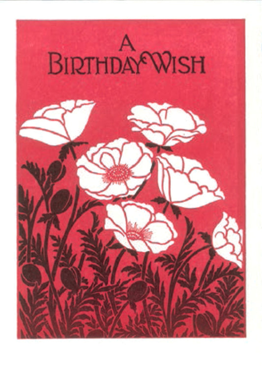 Papaver Birthday Card