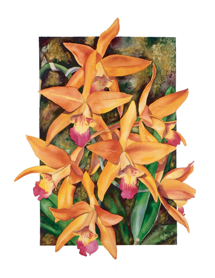 Laelia Santa Barbara Sunset (Easter) Card