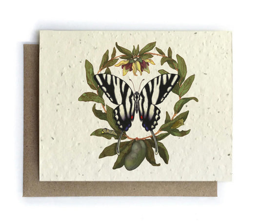 Zebra Butterfly & Paw Paw Plantable Seed Card